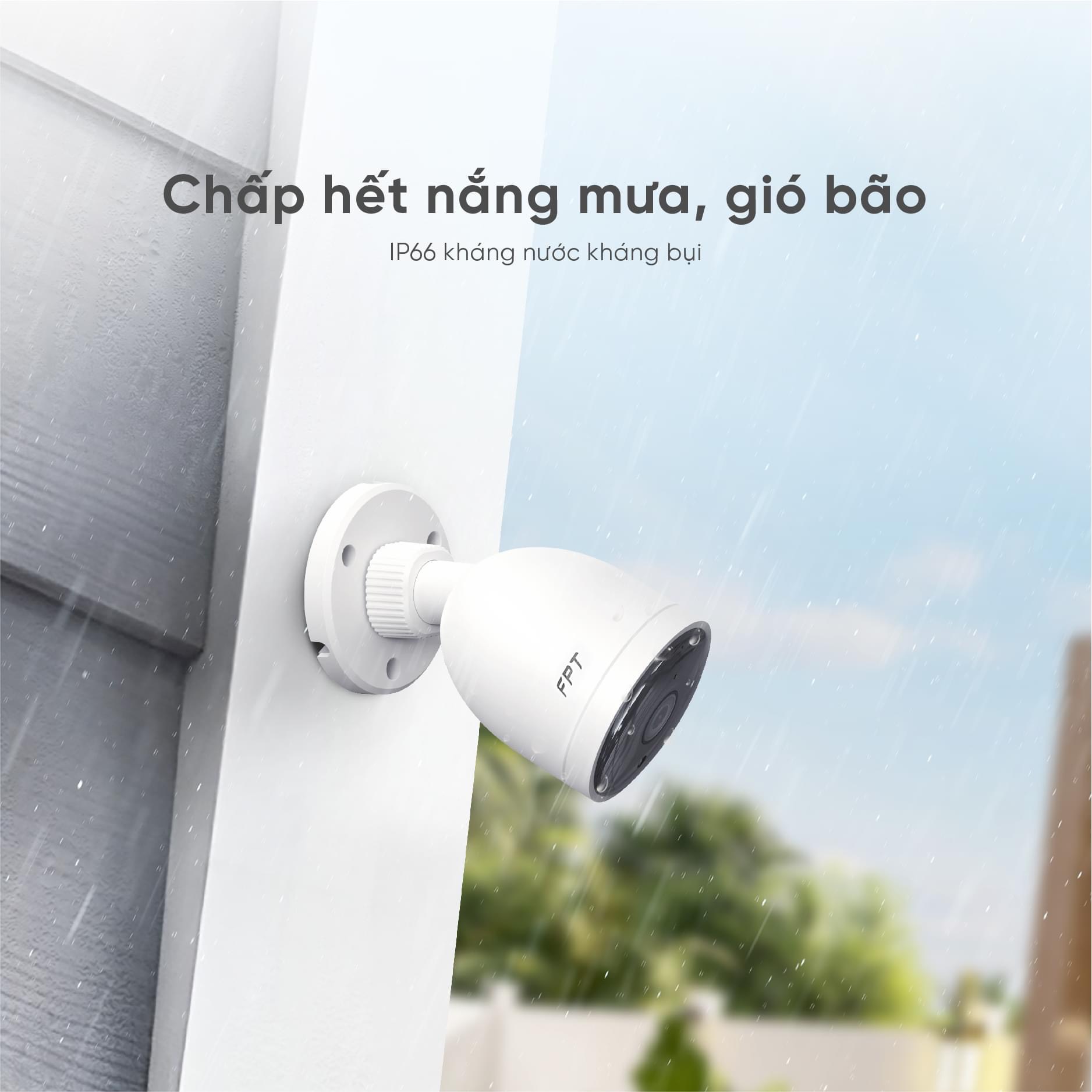 Z4940407425977_e7500da514d207bace035d6d0378a846